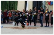 Highslide JS