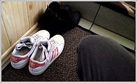 Highslide JS